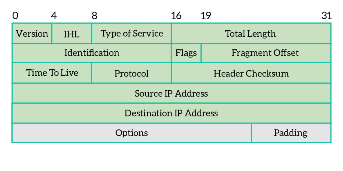 Ipv4 protocol. Ipv4 Packet. Модель ipv4. Заголовок IP пакета. Заголовок ipv4.