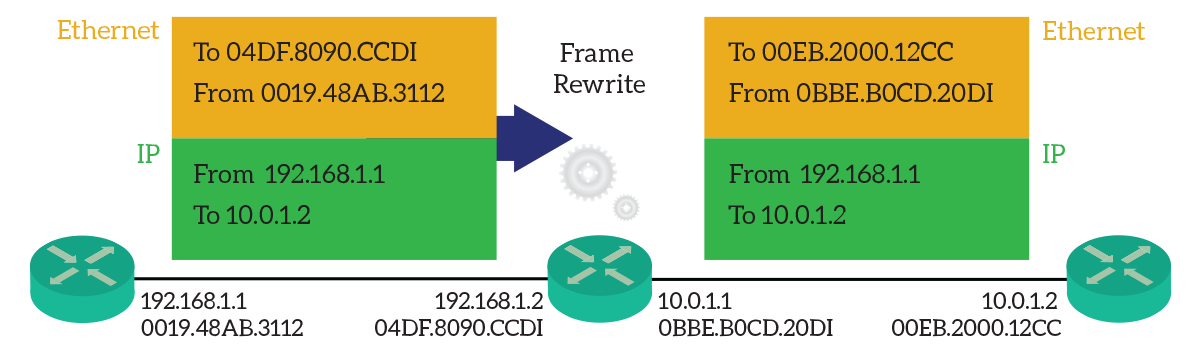 Frame Rewrite in the routing table lookup process