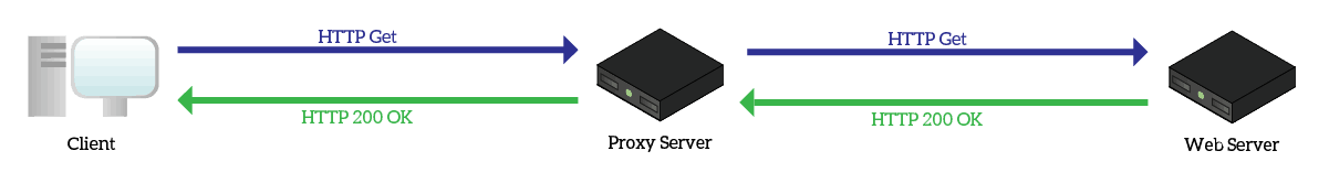A Proxy Server is a network device that can make HTTP and HTTPS requests on behalf of a user